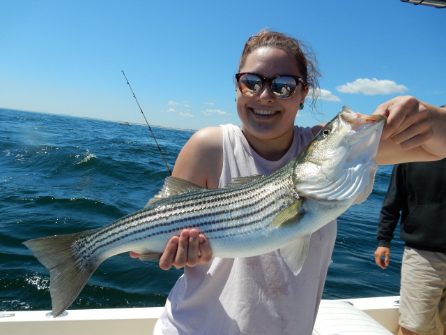 Fiesty striper caught in the Merrimack River